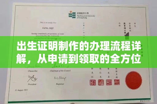 舟山出生证明制作的办理流程详解，从申请到领取的全方位指南