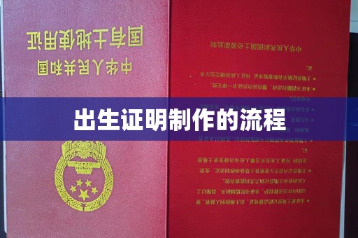 舟山出生证明制作的流程